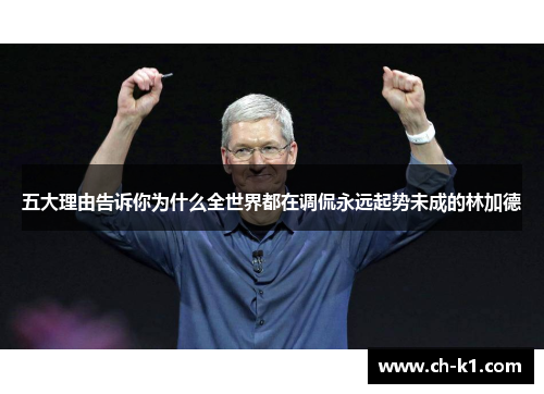 五大理由告诉你为什么全世界都在调侃永远起势未成的林加德