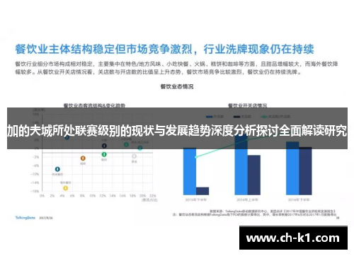 加的夫城所处联赛级别的现状与发展趋势深度分析探讨全面解读研究 加的夫城所处联赛级别的现状与发展趋势深度分析探讨全面解读研究