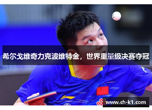 希尔戈维奇力克波维特金,世界重量级决赛夺冠 希尔戈维奇力克波维特金,世界重量级决赛夺冠