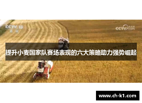 提升小麦国家队赛场表现的六大策略助力强势崛起