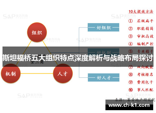 斯坦福桥五大组织特点深度解析与战略布局探讨
